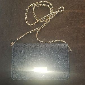 BCBG Shoulder bag /clutch
